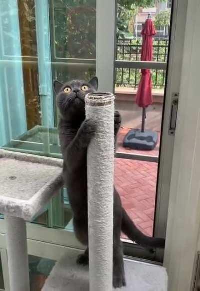 The first night on the pole can be daunting