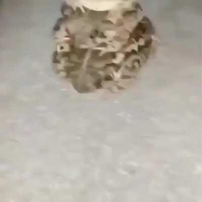 I'm losing my mind trying to find the name of this song, i know its not a lot to go off of but idk where else to look