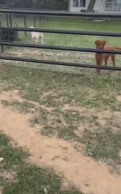 Her baby is crying for help