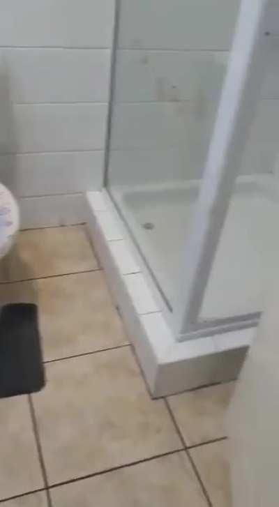 The only way out is to play dead