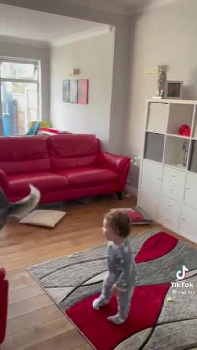 Tag, you’re it! (Source from TikTok: @sho.fox)