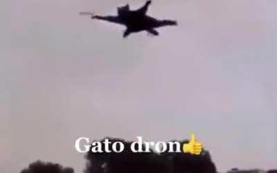 Gato dron👍
