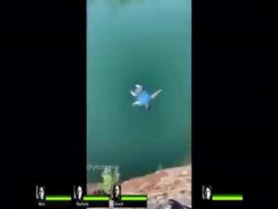 Se mato el guaton qliao