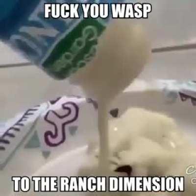 Thought this might fit here