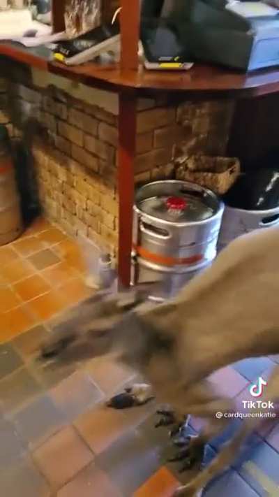 Idk if this counts but this is wierd.