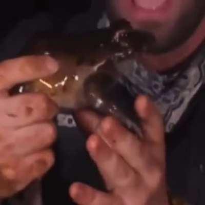 The roar of the century