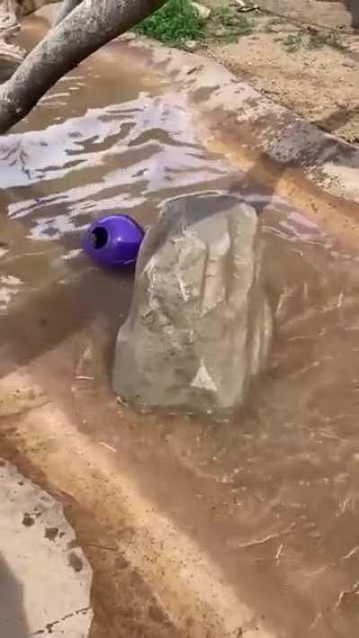 Don’t be suspicious...