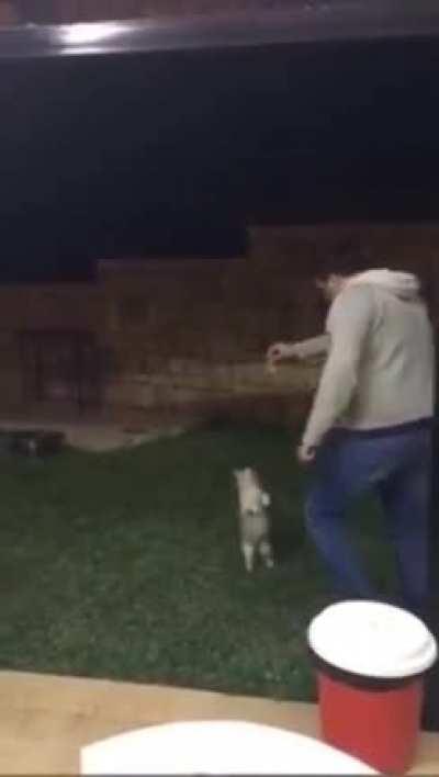 I don't know what to say... I'm so mad, I'm speechless.