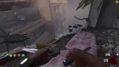 Just Gonna Flex On Y'all Haters That Go the 