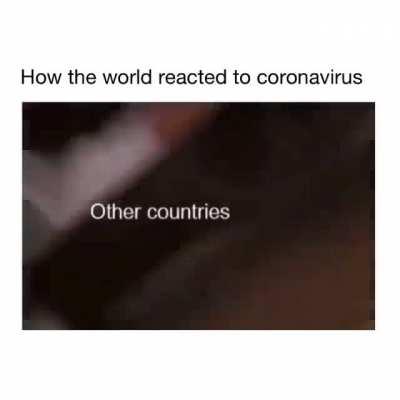 How the world reacted to coronavirus