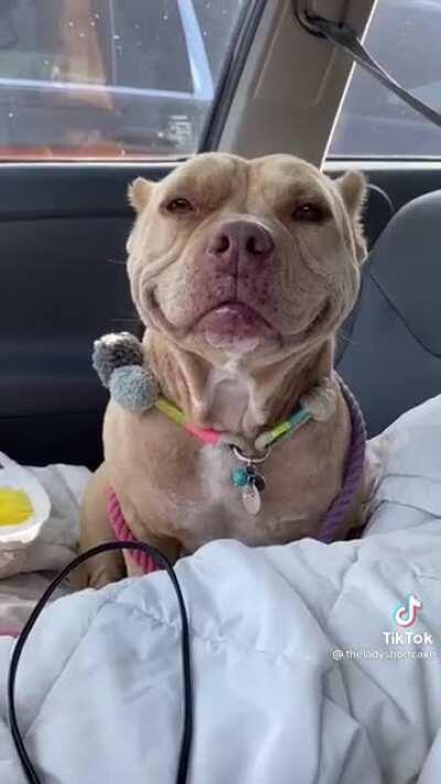 The sweetest smile in the world