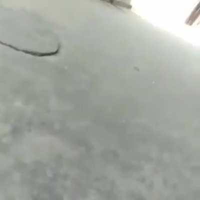 Meus ancestrais me ensinaram monkaW