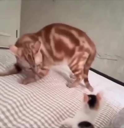 фэыжыдлппоропладыдфжфэыэыдлппоповжфэфэ