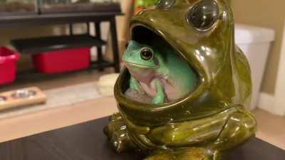 Jam sesh’ with my dude, IronFrog - TURN IT UP 🐸🤘🏽🎶🎤🔊