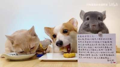 My family sending love letter :D