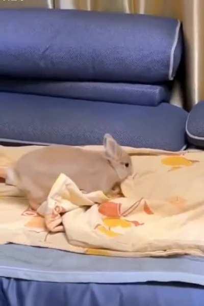 OK, I'll tuck myself in