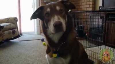 Пошли со мной, если хочешь жить.