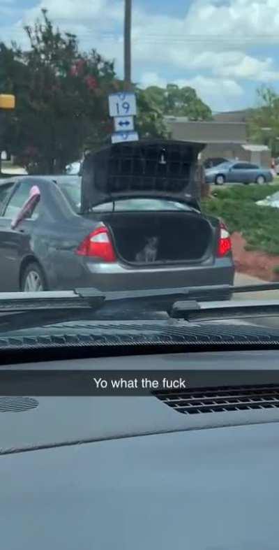 Saw this in my hometown today