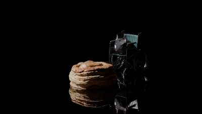 Blaze Bean in a Wheelchair ( Original ) 😼