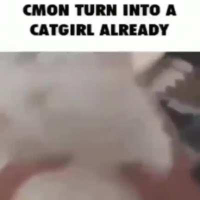 I'm waiting too!😔