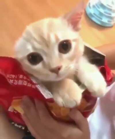 China packaging be like :