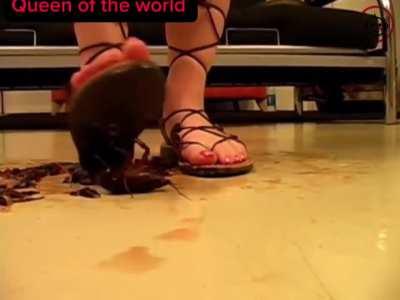 Jenna Crush Lobster part.2 #ending