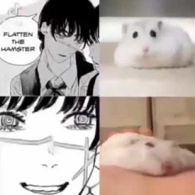 Hamtaro.... No!!! 😭