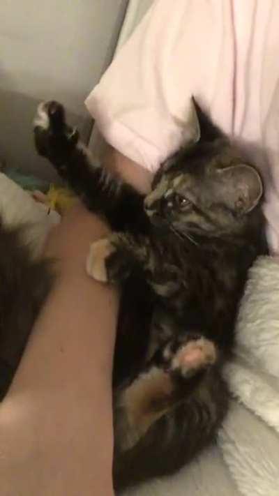 Baby Booboo’s signature ‘air biscuits’ on the first night I brought her home.