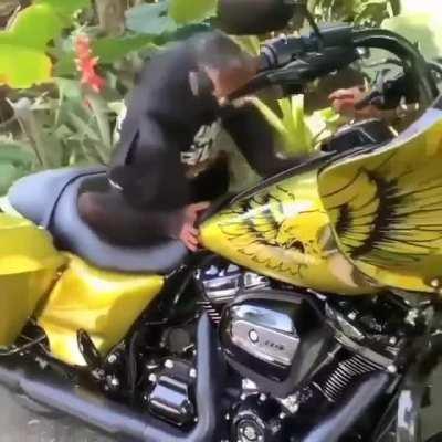 In Spanish, this is called 