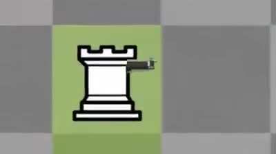 Santranç Turnuvası Özel Hort