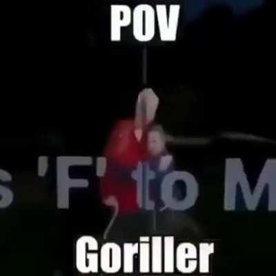 You are the gorilla 😳👌🏽👌🏽