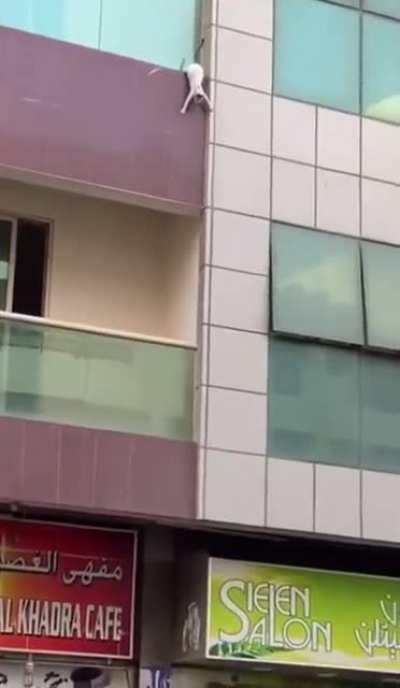 Men saved the cat falling from a balcony