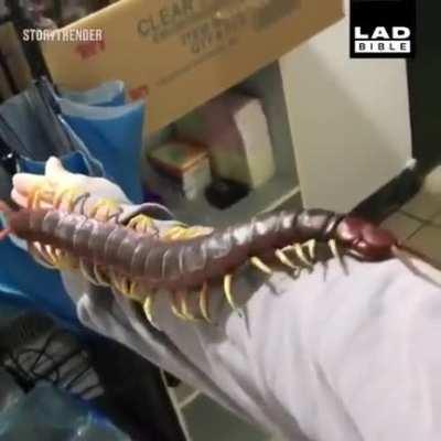 Спокойной ночи