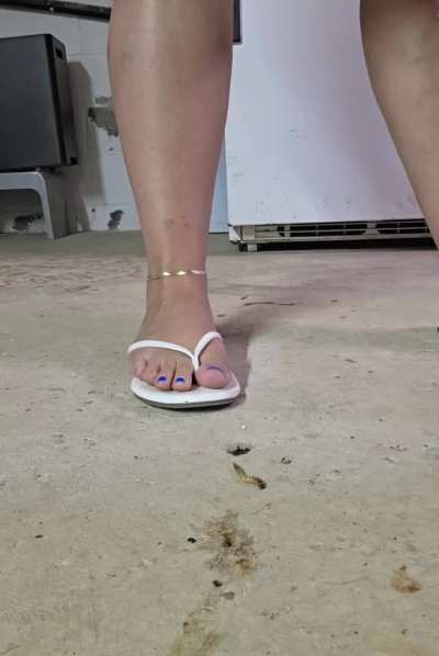 Mr. Grasshopper in my pretty white flip flops while crushing superworms! 😈🥵🥰