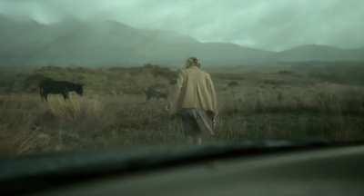 The Lobster (2015) Dir. Yorgos Lanthimos, DoP. Thimios Bakatakis