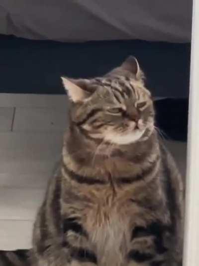 My condition by the end of the week