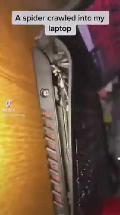 A Superior Method Of Pest Control