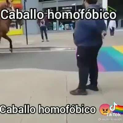 Homophobic horse
