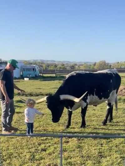 father of the year award