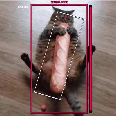 Bro didin't hesitate