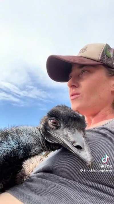 The way Emanuel just falls right asleep 😍 