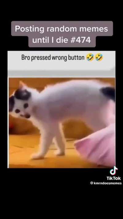 bro pressed the wrong button 💀