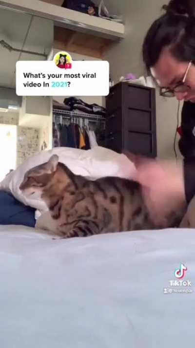 Just found this group, reminded me of this tik tok. Enjoy.