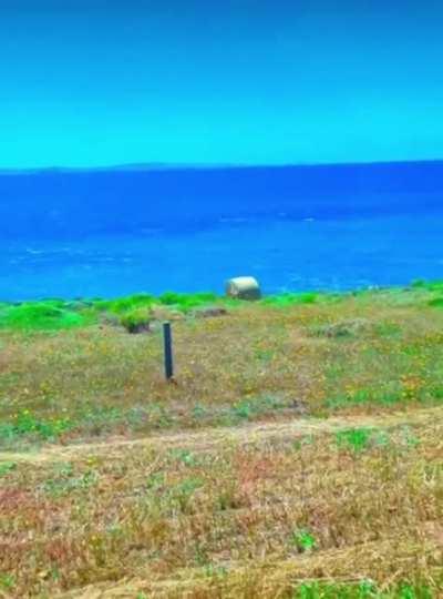 My hay people need me