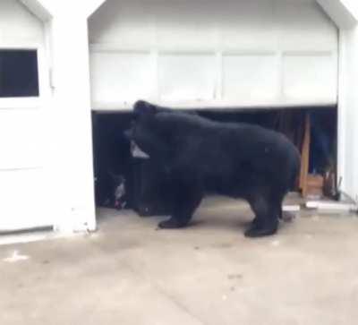 What Ya Got in Here?