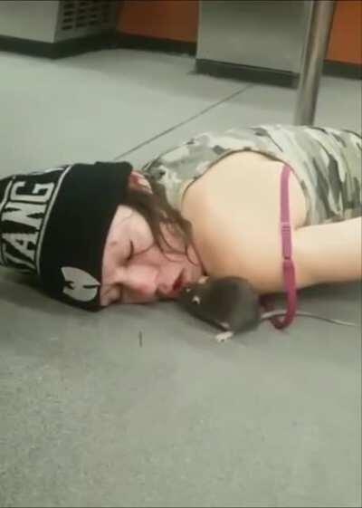 HMC while I feed a mouse