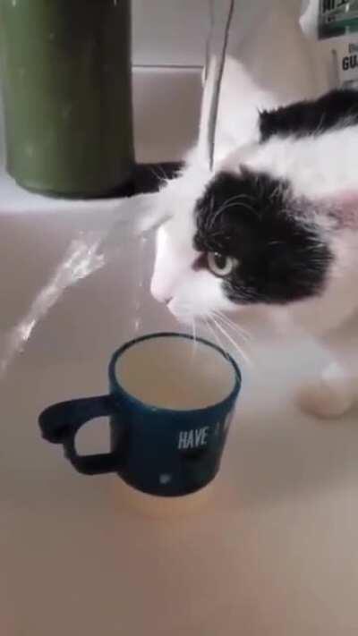 Water intake coordinates need calibrating