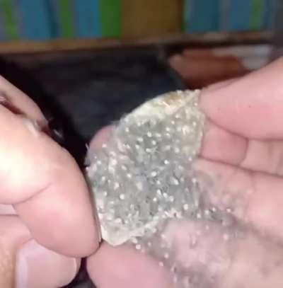 Thanks I hate the new intruders in your house