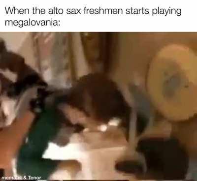 First shitpost of this season