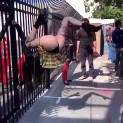 HMC while I work the fence